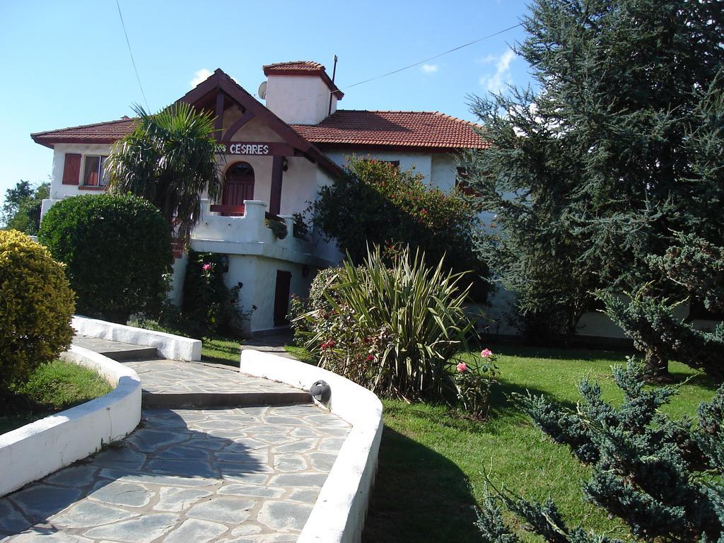 Hotel De Cesares 3*