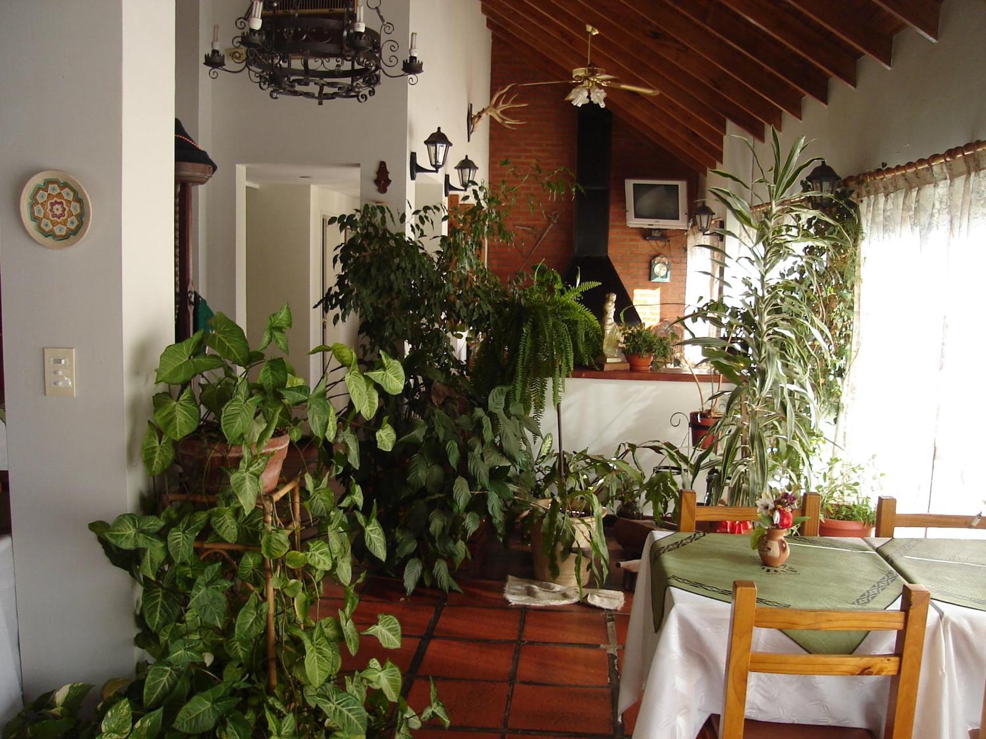 Hotel De Cesares 3*